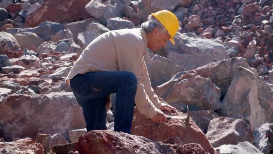 Фото: © скриншот видео