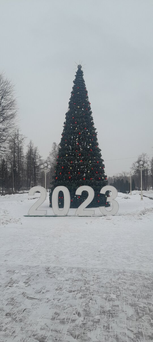 В этом году работаю над принятием самой себя, чтобы не жалеть о своих решениях.