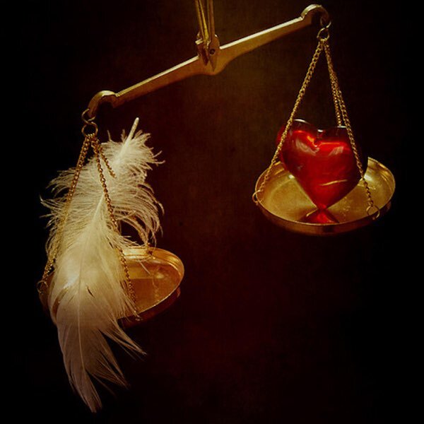 изображение из интернета