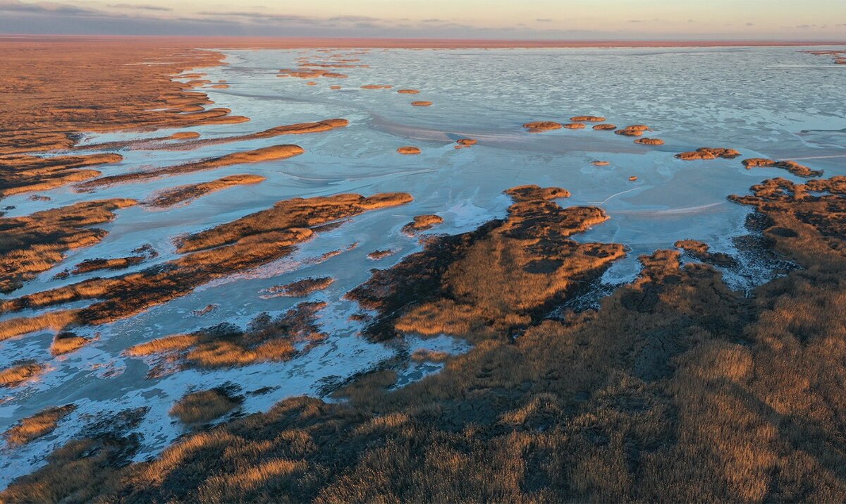 Кизлярский залив. Фото: И. Шпиленок