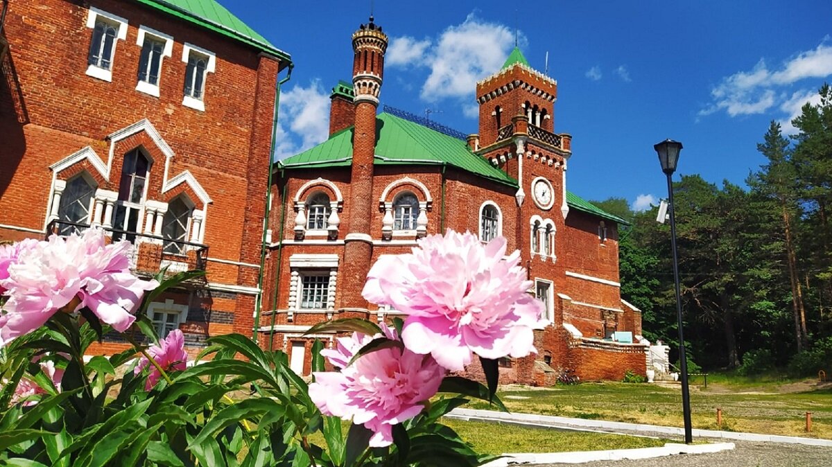    100 лет назад усадьба относилась к территории Нижегородской  области Арина Полтанова