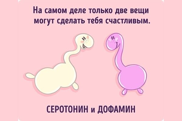 Фото из открытых источников инета