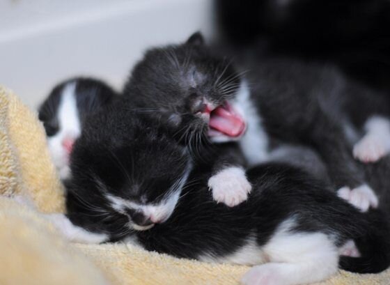 Фото с ru.pinterest.com для примера