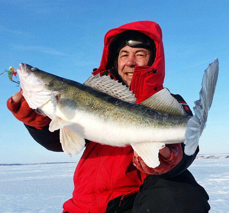 шершневское водохранилище судак. рыбалка на берша зимой. судак рыбинского водохранилища. днепродзержинское водохранилище днепродзержинское. рыбалка на курчатовском водохранилище курской области.