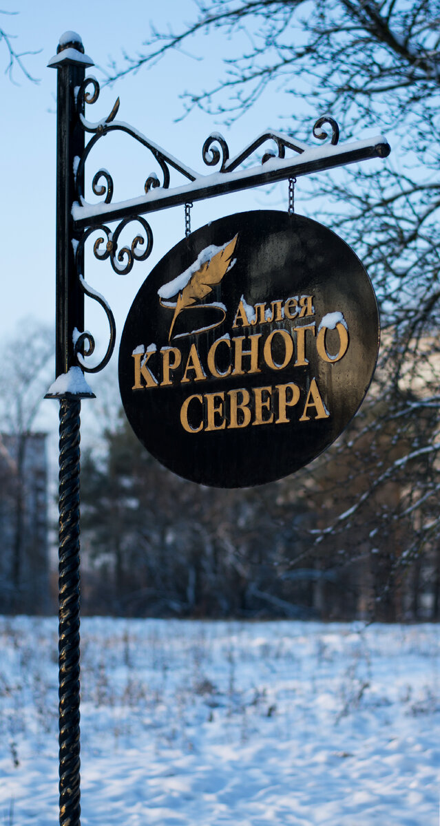 Фото Михаила.