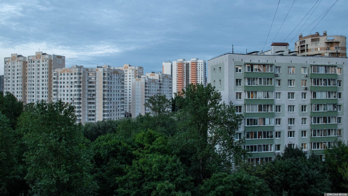 ссылка на источник фото:https://rossaprimavera.ru/static/files/6840