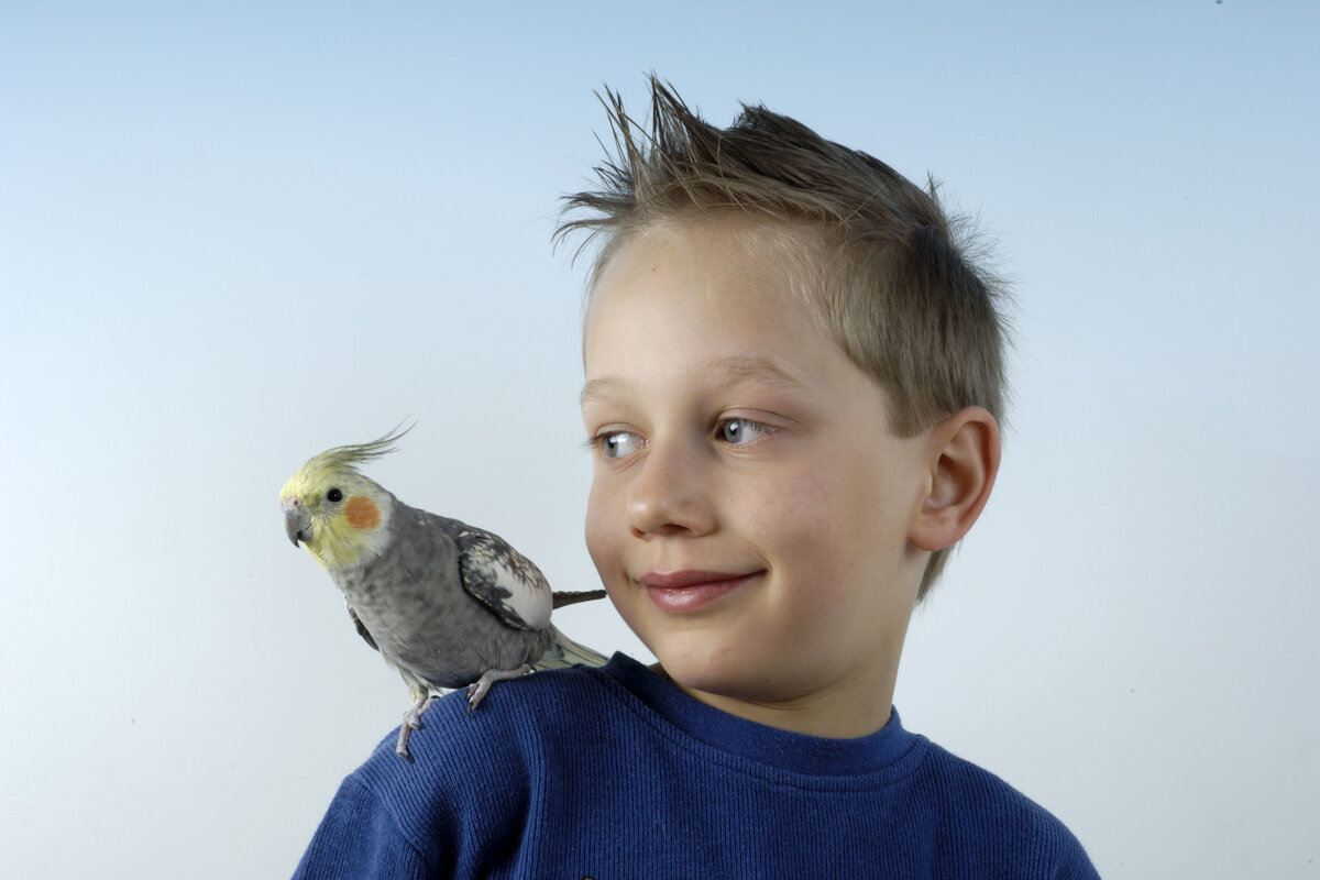     Выжили под обломками: в Турции мальчик 55 часов держал в руках попугая