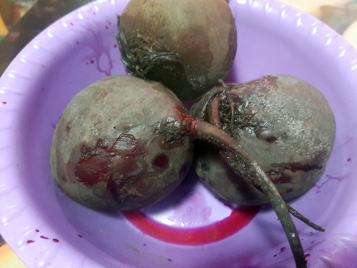 Ждать или не ждать? - Вот в чём вопрос!