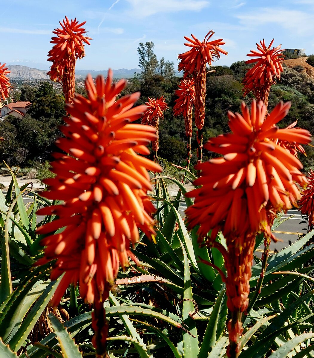 Фото из личного архива автора. 10 февраля 2023 года