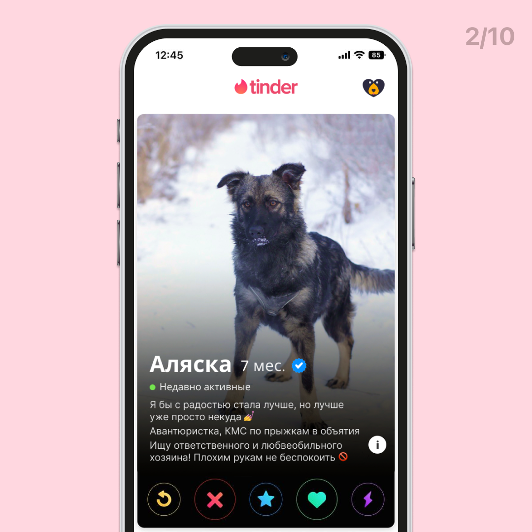 Аляска ищет дом на Тиндере