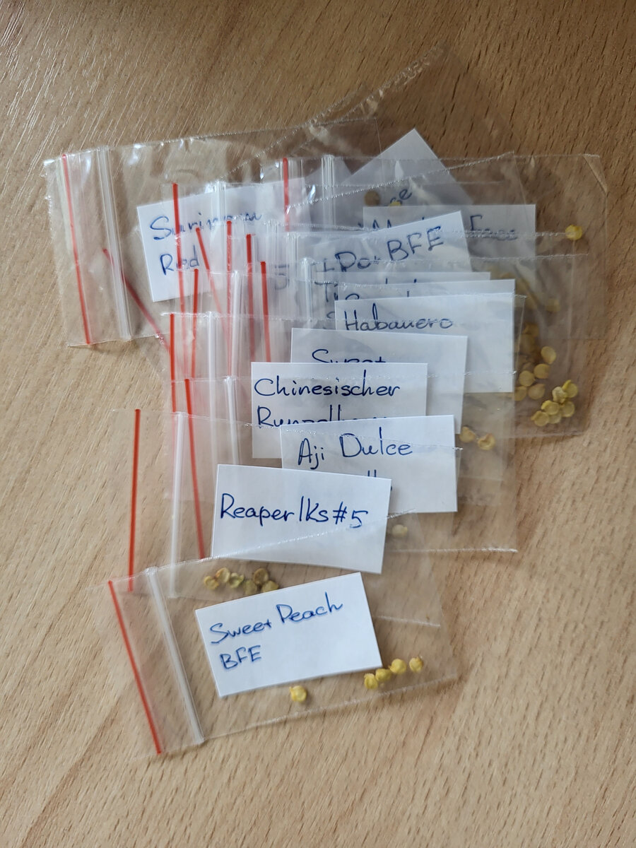 Получила семена