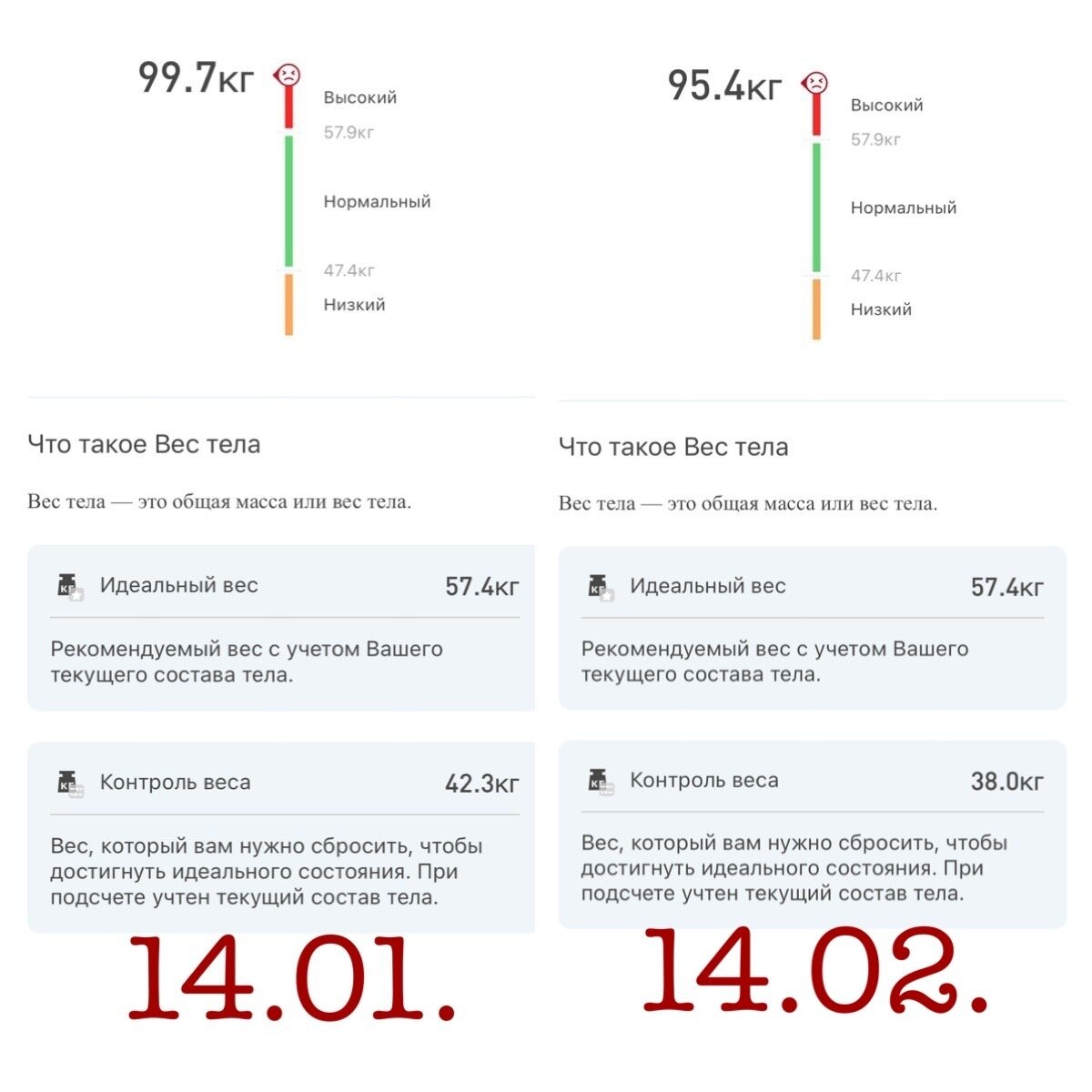 14 января и 14 февраля 2023