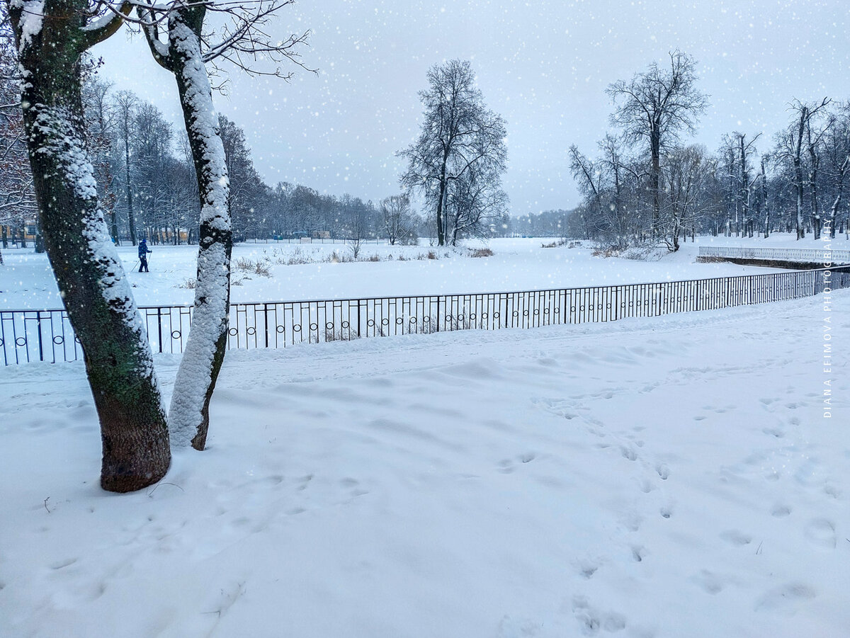 Крутой музей в городе Пушкине, который редко заходят туристы и совершают  большую ошибку. Музей Чистякова | Di_travel | Дзен