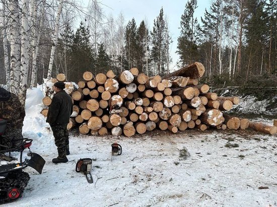     фото предоставлено жителями нижней ельцовки