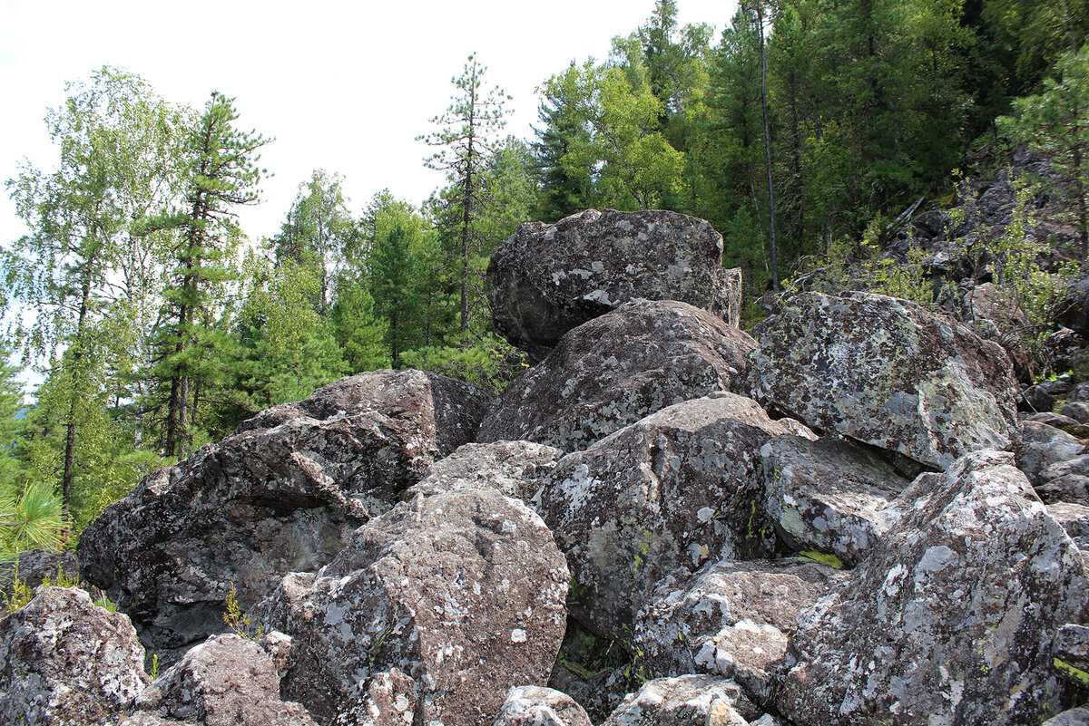 Горный Алтай. Фото автора.