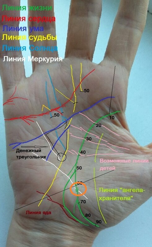 Линия жизни режим работы