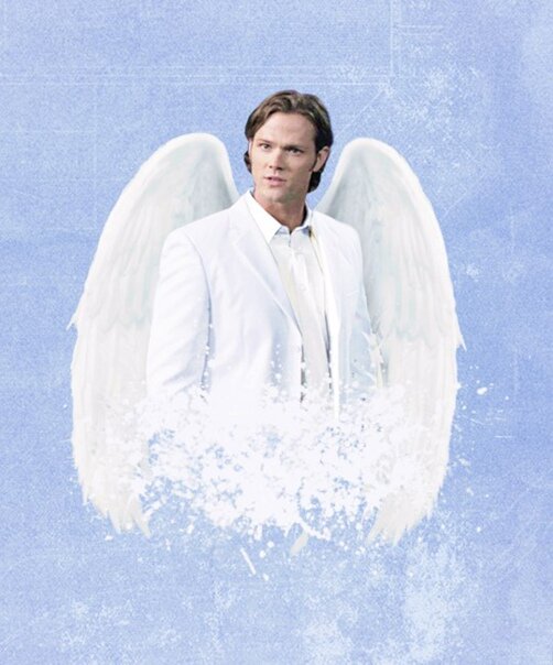 фото из открытых источников интернета