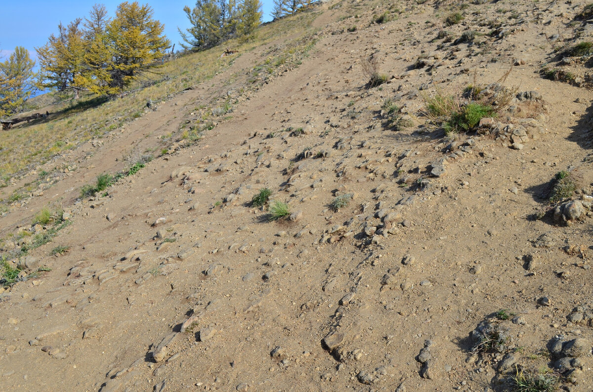 Стихийные тропы. Неорганизованные тропы.