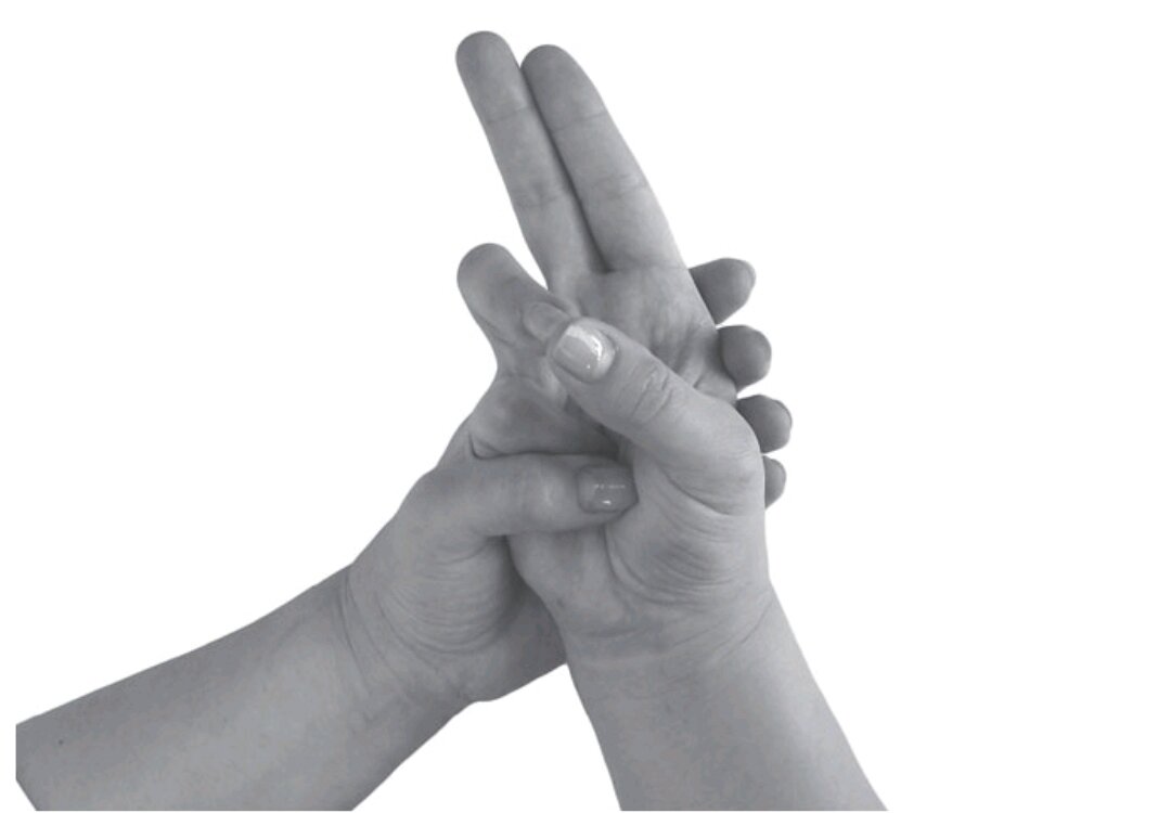 Варуна мудра мудра воды. Мудра от отеков. Варуна мудра. Махаширс-мудра. Водная мудра.