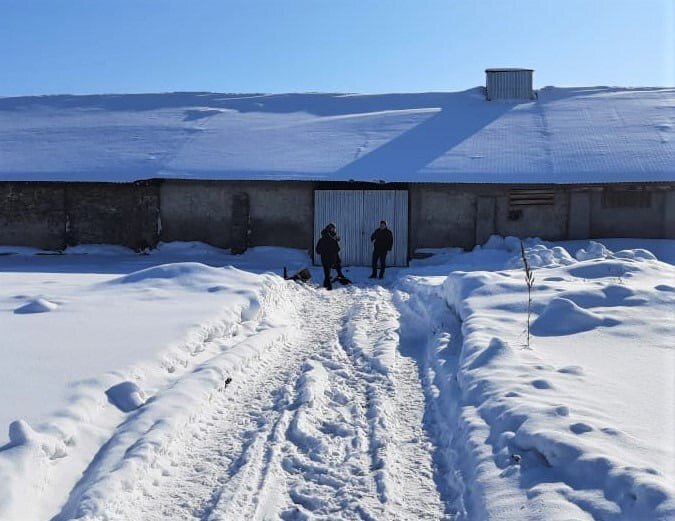 Фото: СУ СКР по Алтайскому краю