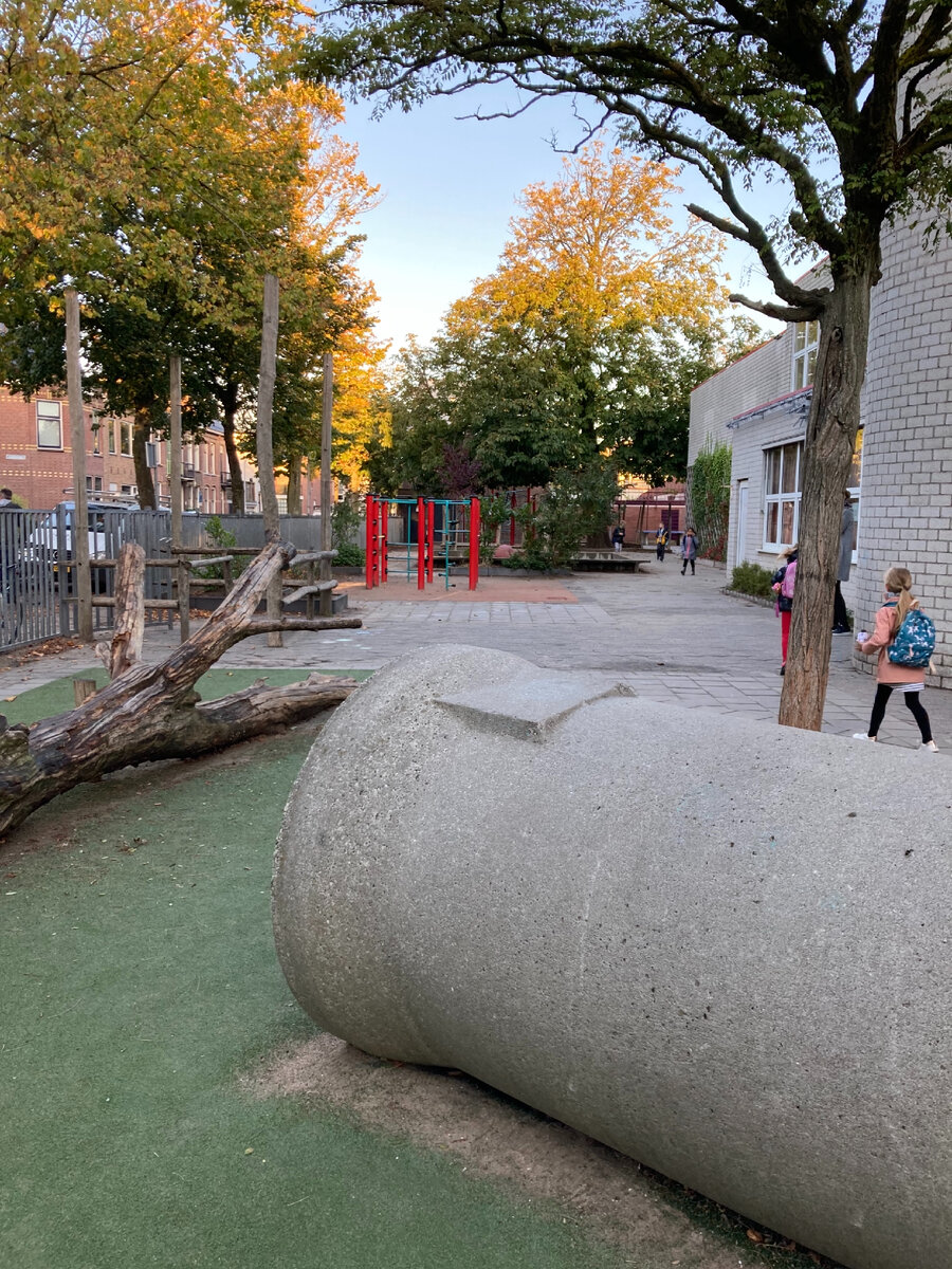 У каждой начальной школы есть детская площадка 