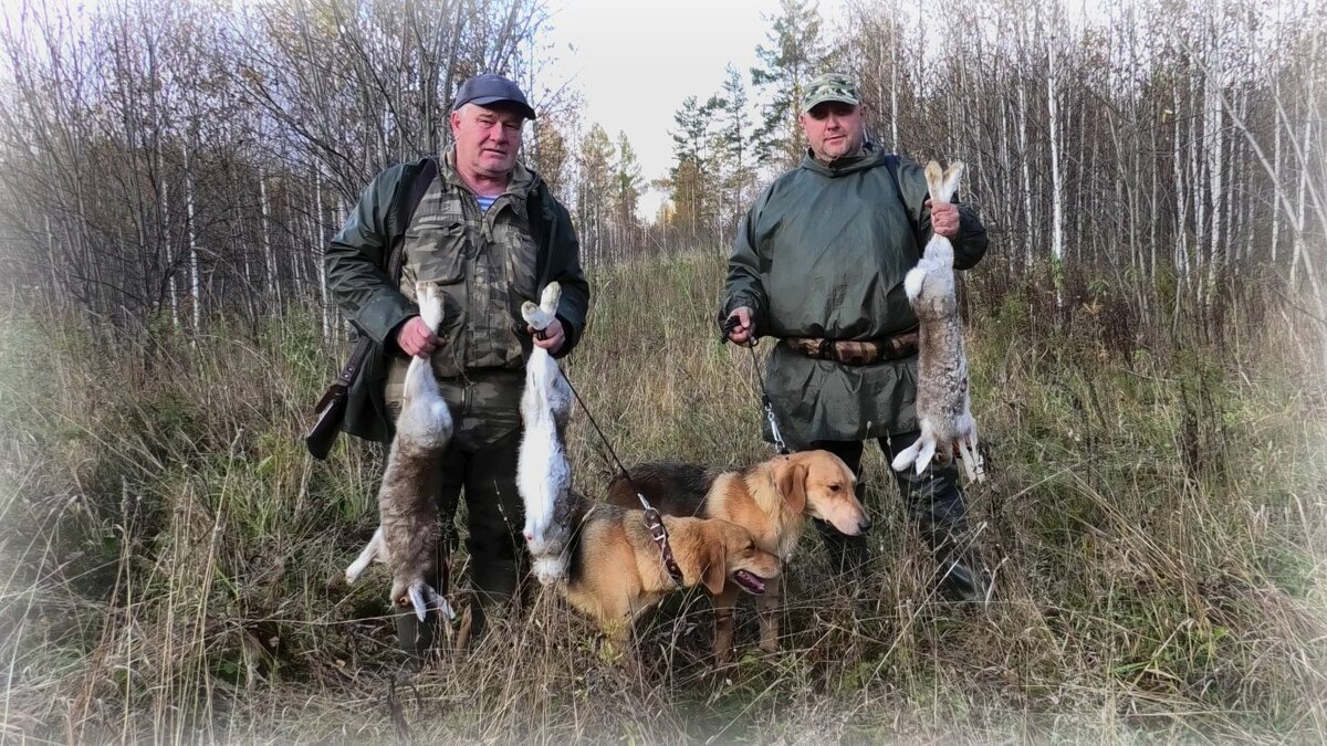 Мы с отцом и нашими гончими.