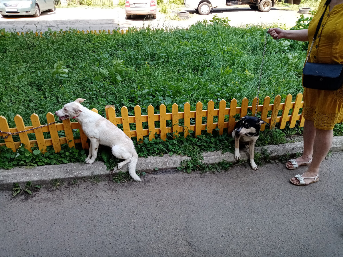 Две спасенные девочки. Фото из личного архива.