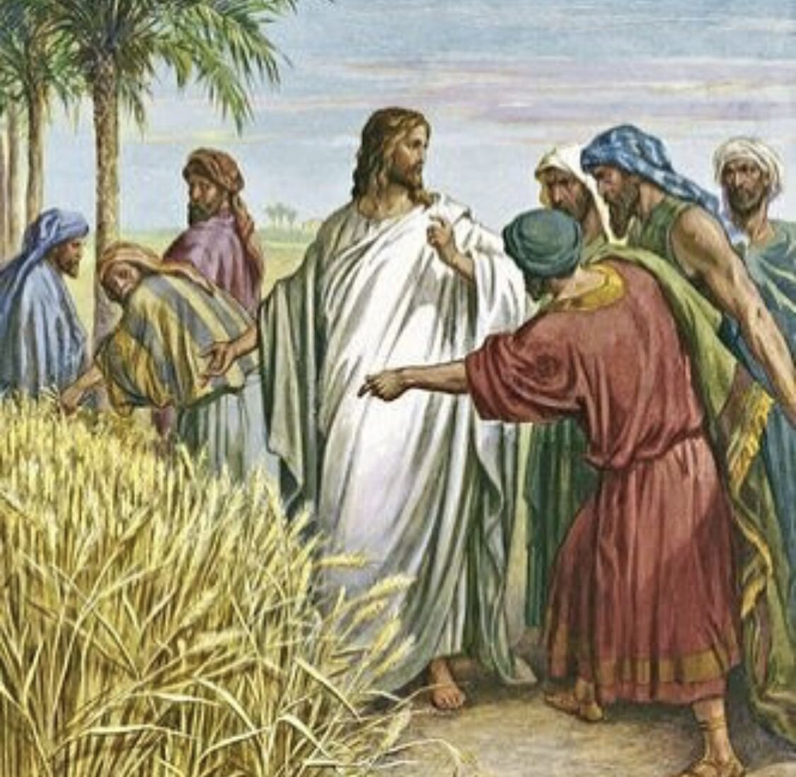 В первый день засеяли. Иисус колосья фарисеи. Иисус с учениками в поле. Ученики Христа срывают колосья. Христос апостолы в поле.