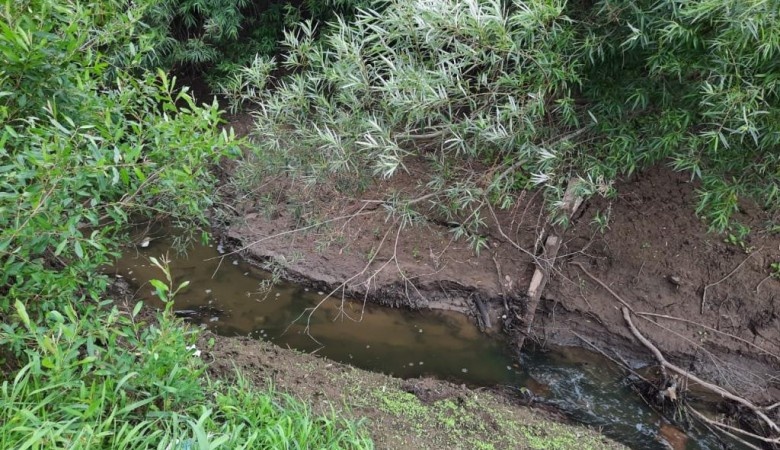 ФОТО: ОФИЦИАЛЬНЫЙ САЙТ АДМИНИСТРАЦИИ ВОЛОГДЫ