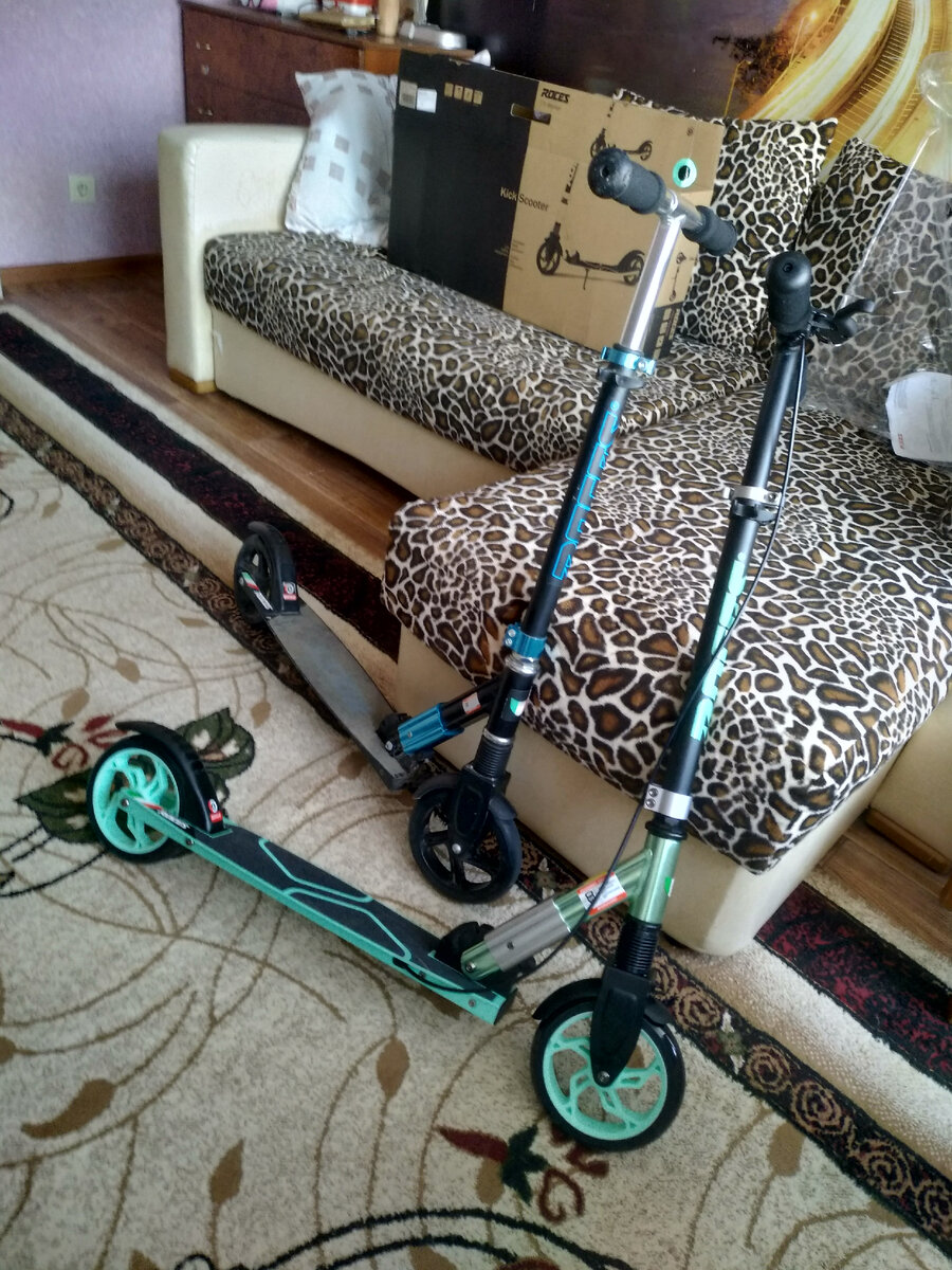 Перед поездкой купили второй самокат той же фирмы, что и была у нас. Рокесы неплохо зарекомендовали себя, к тому же у нас были бонусы, которыми мы покрыли третью часть покупки