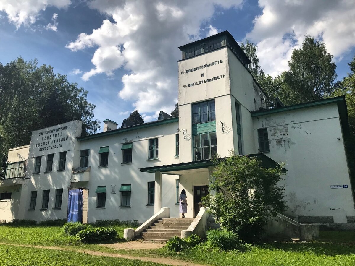 Парк в колтушах