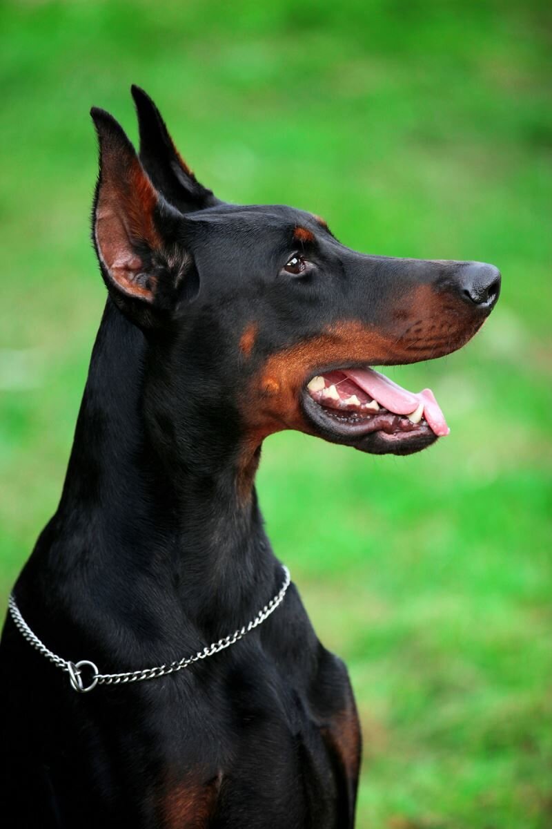 Фото для обложки, источник фото https://www.pinterest.ru/pin/665125438688240456/