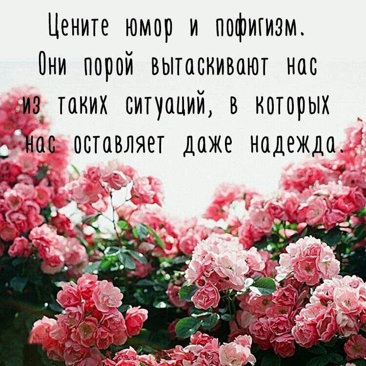 фото  из свободного  доступа