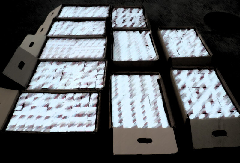 Ага. Вот эти товары