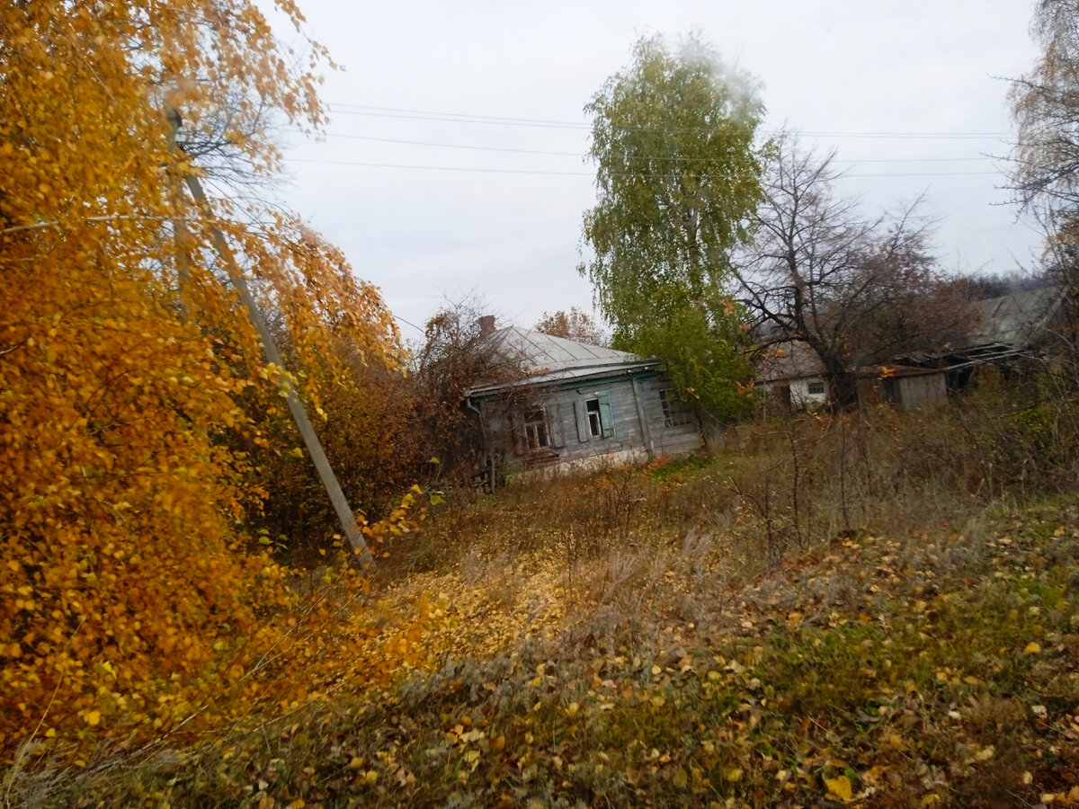 В селе Россыпное можно купить хороший дом за копейки. Воронежская область |  Живу по-деревенски | Дзен