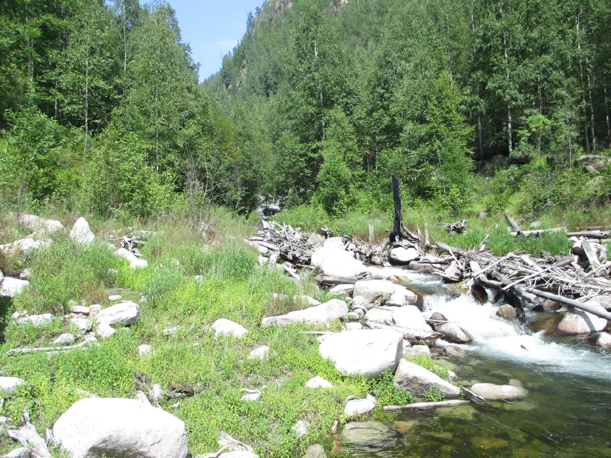 Фото Дмитрия Грачева