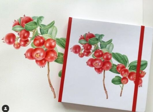 2. Работа Лилии Михайловой. "Брусника вернулась с выставки и Скетчбук @sketchstory_ru с моей иллюстрацией!" Фото и комментарий из аккаунта Лилии Михайловой в Инстаграм @liliyamichailova