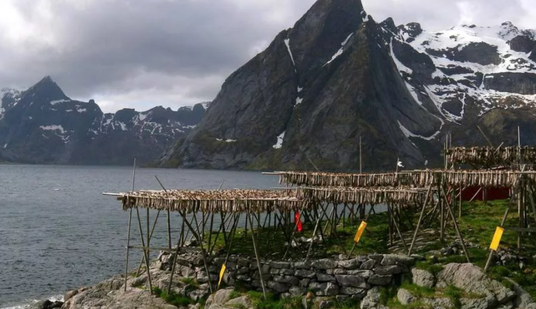 Фото с https://yaustal.com/kak-eto-sdelano/14023-kak-sushat-i-vyalyat-rybu-v-norvegii.html