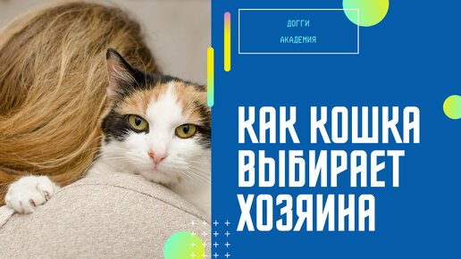 Кошка кто она