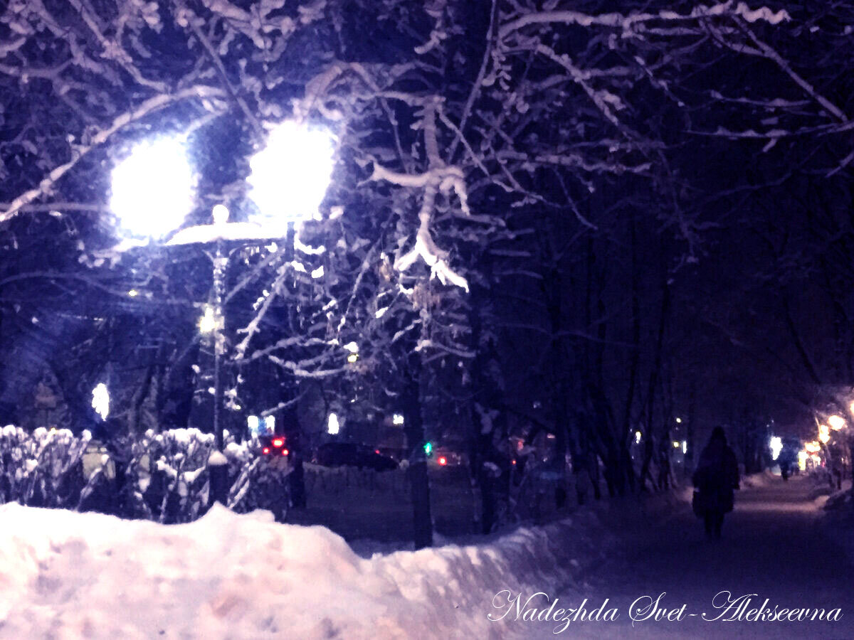 Февраль, фонарь, зимняя ночь в городе. Фото автора