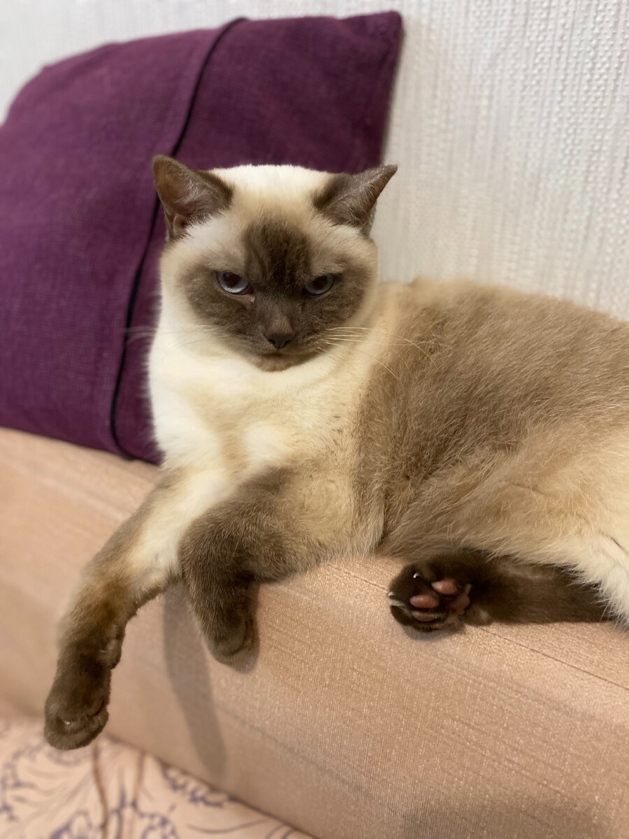 Вот так смотрела на меня старшая дочь, когда склерозница-мать наконец-то объявилась. Фото автора.