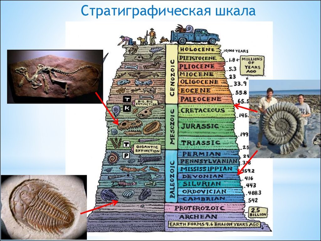 Икария: Прорыв в изучении жизни докембрийской эпохи | Цитадель адеквата |  Дзен