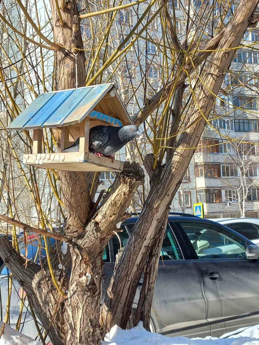 Фото автора.