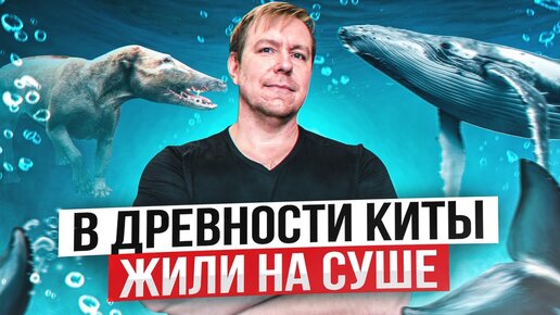 В древности киты были четвероногими хищниками. Стендап с картинками