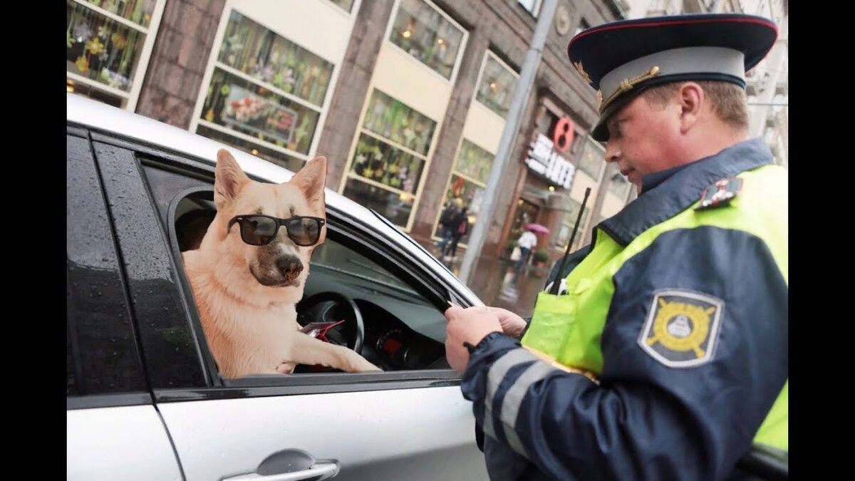 Проблема, сэр ? Сейчас всё решу) 