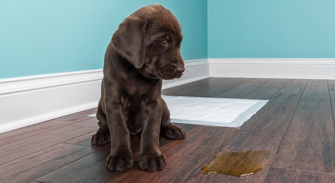 источник: https://i.ytimg.com/vi/Gv70CiF5YyI/maxresdefault.jpg