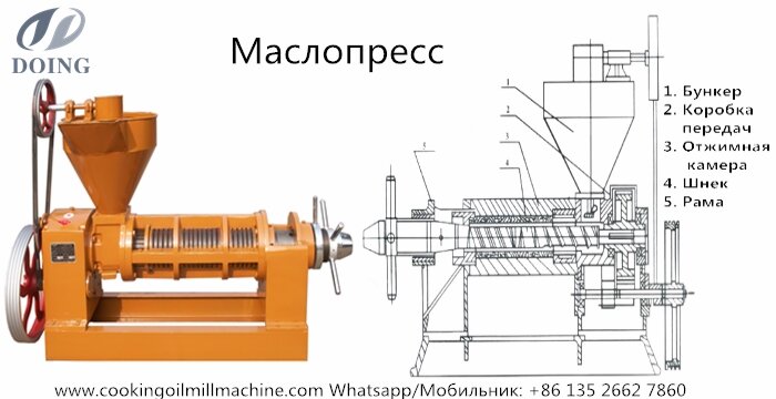 Маслопресс своими руками чертежи холодного отжима