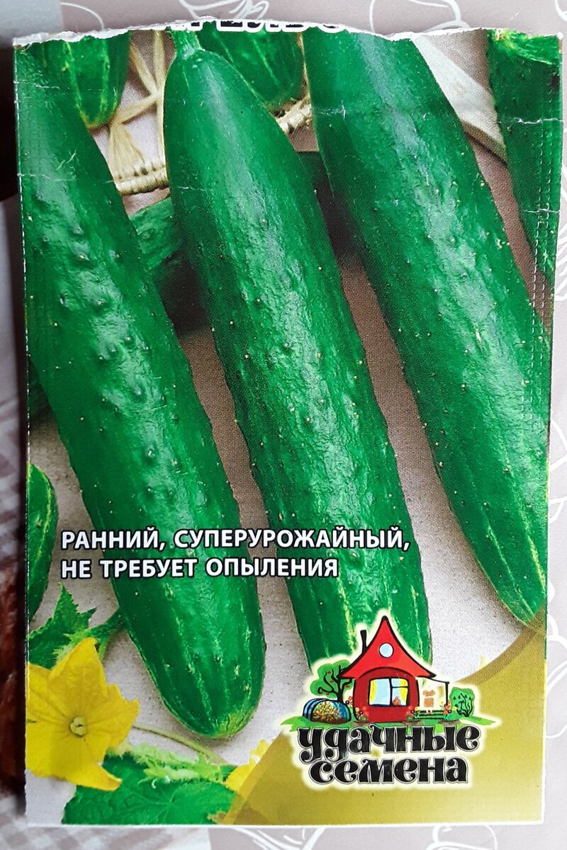 Фотография взята из источника yandex.ru