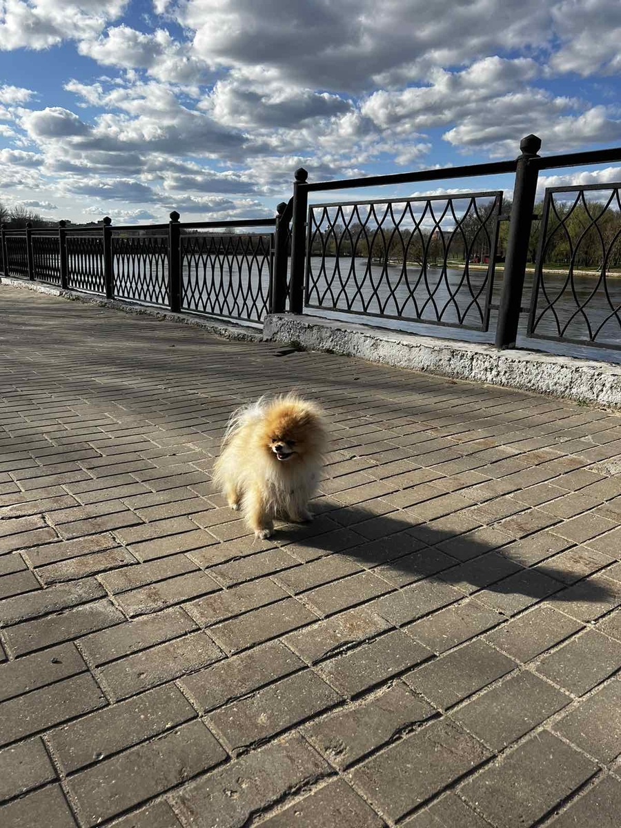 Самый красивый мальчик Степа 