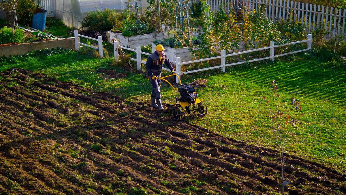 Мотоблок или мотокультиватор – незаменимая вещь в хозяйстве, если у вас есть огород. С ним можно забыть о выматывающем вскапывании грядок перед посадкой и о перекапывании почвы после сбора урожая.